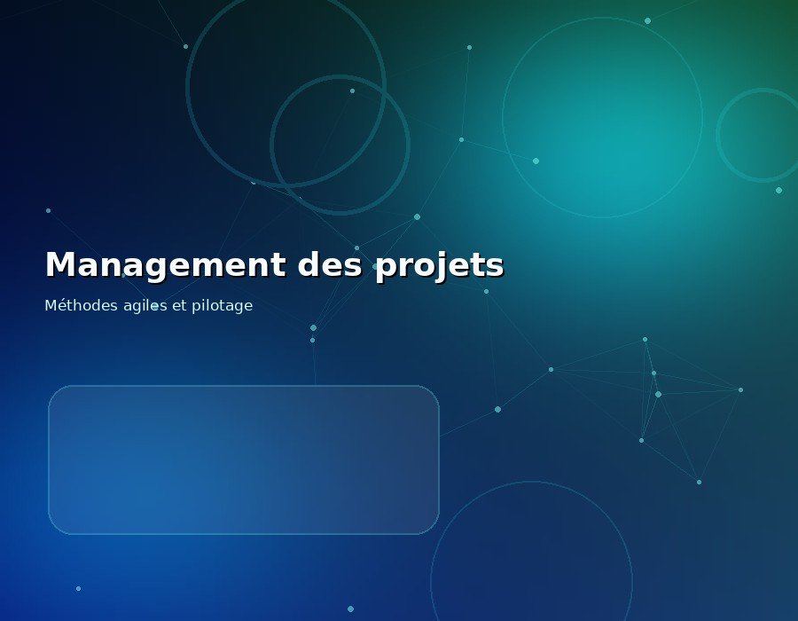 Management des projets